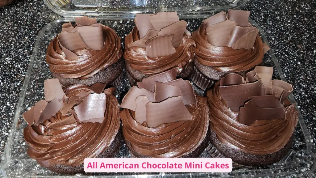 All American Chocolate Mini Cakes